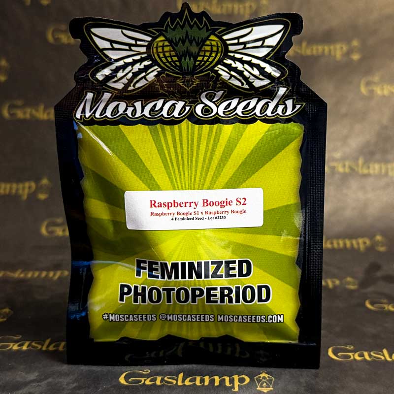 La Mosca Raspberry Mosca Seeds - RASPBERRY BOOGIE S2 - 4 Feminized Seeds - Gaslamp Seeds